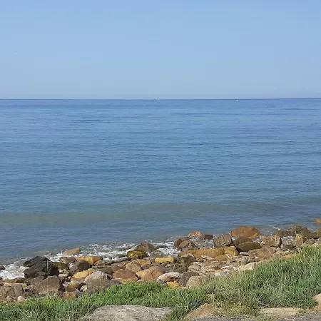 Les Sens Du Veillon * Talmont-Saint-Hilaire