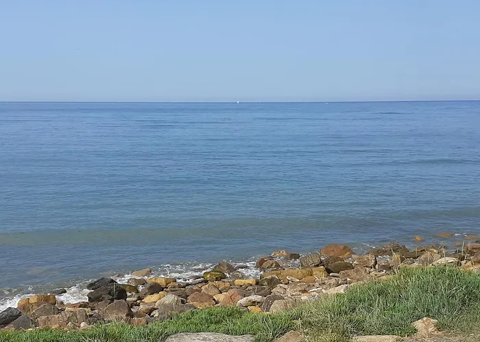 Les Sens Du Veillon * Talmont-Saint-Hilaire